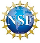 NFS-Logo